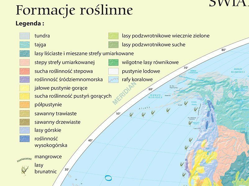 Formacja Roślinna Charakteryzująca Się Występowaniem Zwartych Lasów Iglastych Państwa florystyczne i formacje roślinne świata