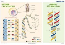 do biologii i przyrody