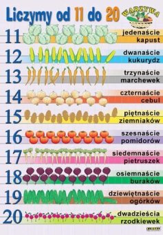 Liczymy od 11 do 20