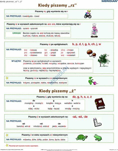 Pisownia wyrazów z "rz" i "ż" - ścienna plansza dydaktyczna