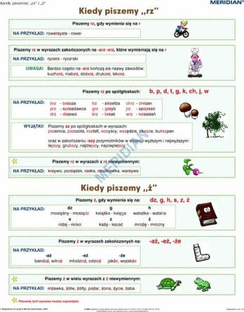 Ścienna plansza szkolna do języka polskiego przedstawiająca zasady pisowni wyrazów z „rz” i „ż”.