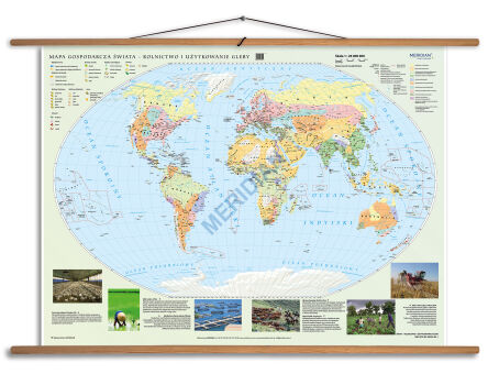 Mapa gospodarcza świata - rolnictwo i użytkowanie gleby