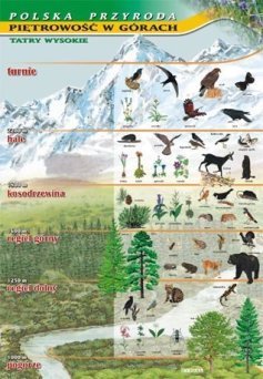 Piętrowość w górach -  ścienna plansza dydaktyczna
