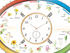 Seasons of the year - 2