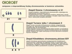 Komplet 5 ściennych plansz szkolnych do biologii przedstawiających przystępnie podstawowe zagadnienia z genetyki. 