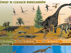 Pochodzenie i ewolucja dinozaurów - 2