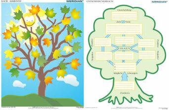 DUO Entscheidungsbaum - ścienna plansza dydaktyczna