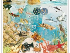 Komplet 5 ściennych plansz szkolnych do biologii przedstawiających różnorodne ekosystemy