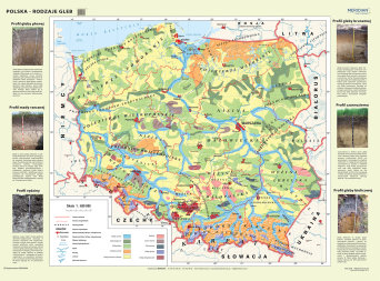 Polska - rodzaje gleb - mapa ścienna