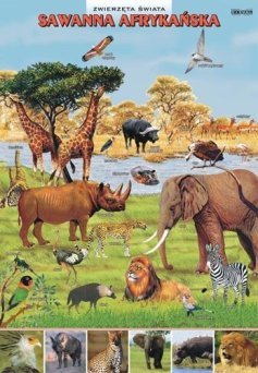 Zwierzeta świata - sawanna afrykańska - ścienna plansza dydaktyczna