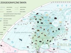 Ścienna mapa szkolna przedstawiająca podział świata zwierzęcego na królestwa, krainy i dzielnice zoogeograficzne.