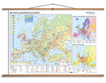 Mapa gospodarcza Europy