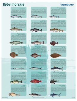 Ryby morskie - ścienna plansza  dydaktyczna