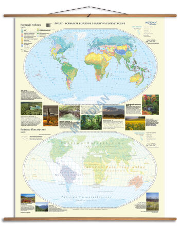 Państwa florystyczne i formacje roślinne świata
