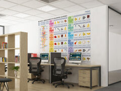 Makro- i mikroelementy w organizmie człowieka - 4