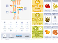 Makro- i mikroelementy w organizmie człowieka - 2