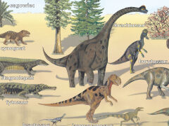 Ewolucja świata ożywionego - 3