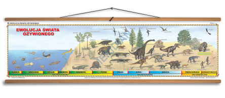Ewolucja świata ożywionego